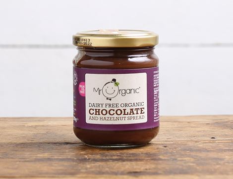 dairy free chocolate hazelnut spread mr organic