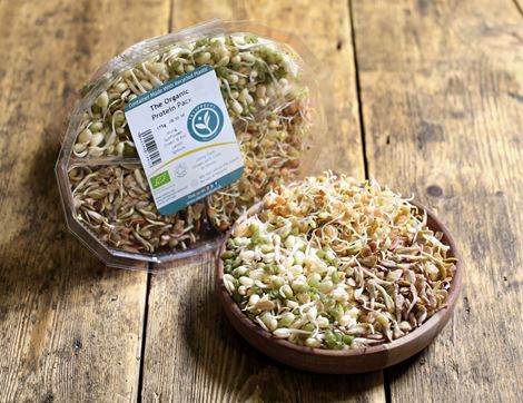 Protein Pack, Organic, Sky Sprouts (175g)