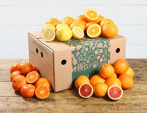 organic seasonal citrus box