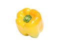 Yellow Pepper