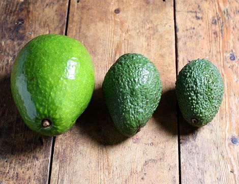 organic tropical avocado normal avocado
