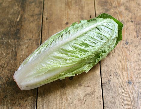 organic romaine lettuce