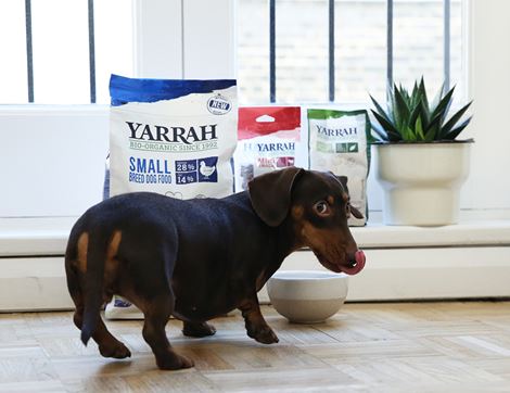 Vegetarian Chunks with Cranberries for Dogs, Organic, Yarrah (380g)