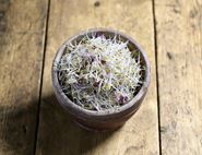 Alfalfa & Radish Sprouts, Organic, Sky Sprouts (100g)