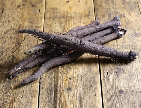 organic burdock root