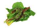 Rainbow Chard Rainbow Chard
