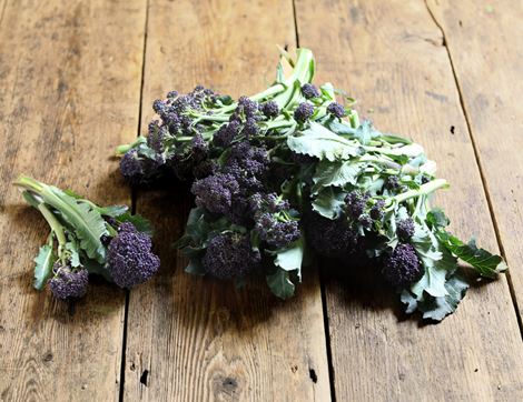 organic purple sprouting broccoli