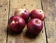 organic nectarines