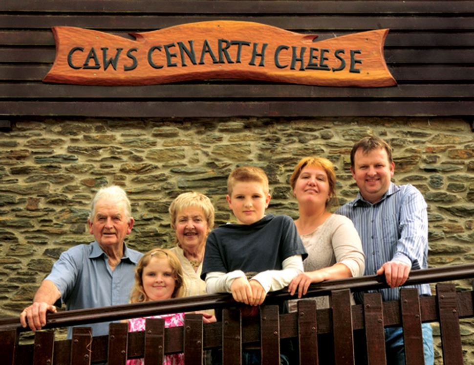 Caws Cenarth Cheese