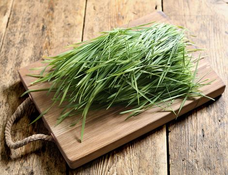 Wheatgrass, Organic (100g)