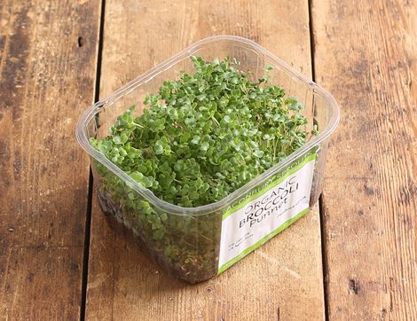 micro broccoli greens