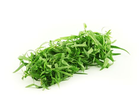 Tarragon (30g)