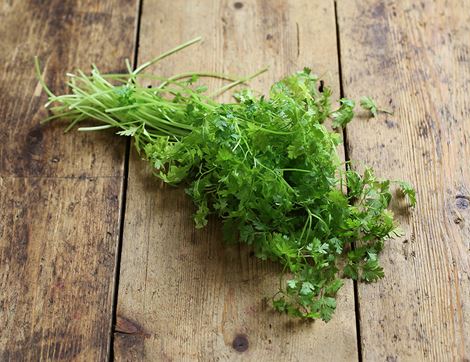 Chervil, Organic (30g)