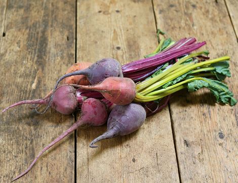 Bunched Rainbow Beetroot, Organic