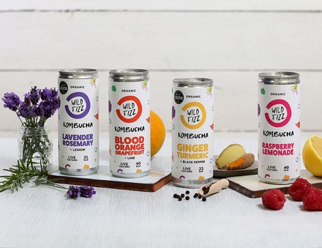 Ginger & Turmeric Kombucha, Organic, Wild Fizz (250ml)