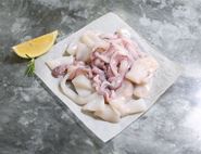 raw squid
