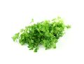 Chervil Chervil