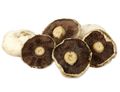 Portobello Mushrooms