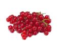 Redcurrants