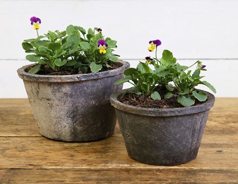 Viola Planter Pair, Organic Blooms